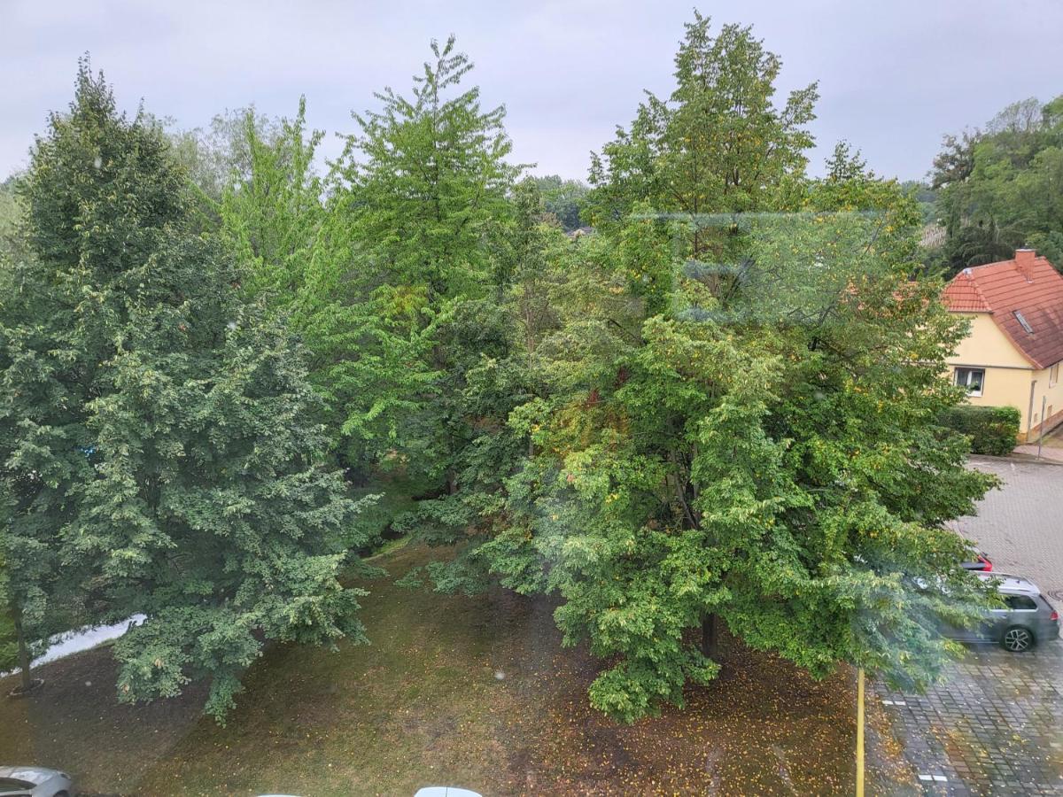 Exklusivwohnung Bad Duerrenberg Экстерьер фото